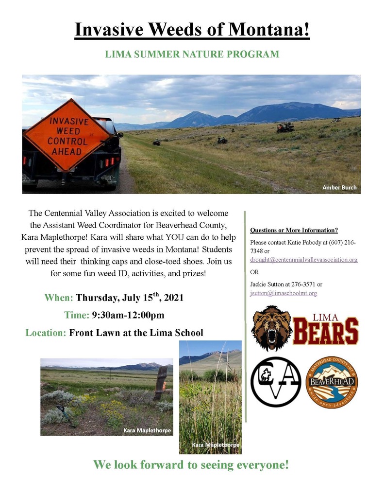 Invasive Weeds